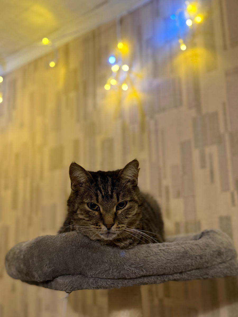 Русик❤️‍🩹