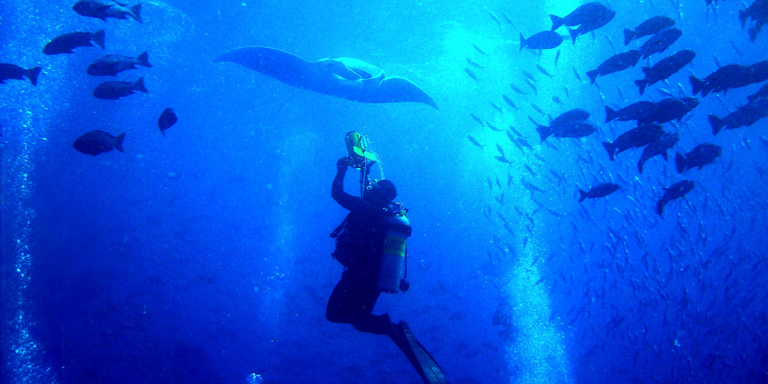 Какие интересные вещи поднял Рязанский дайвер из Оки.