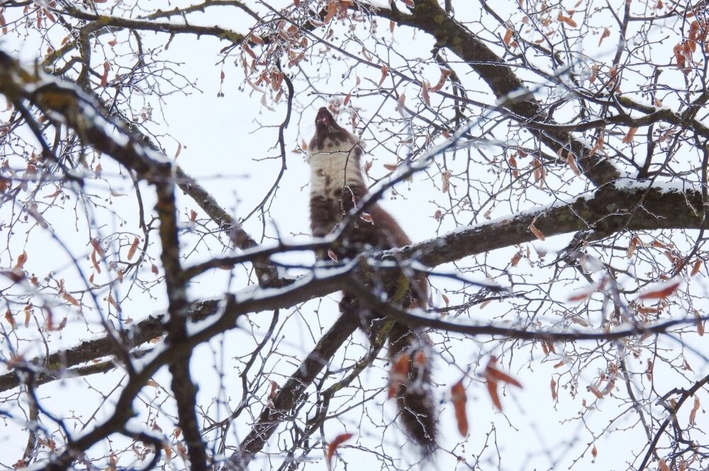    Фото: Тверская областная картинная галерея/ Тверская областная картинная галерея