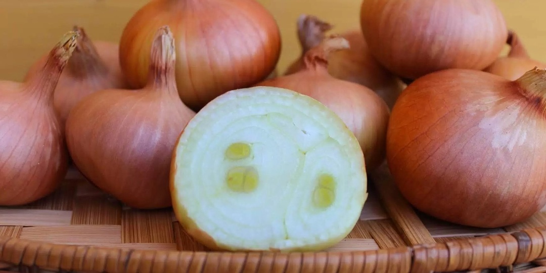 Размножаю лук без затрат на севок уже 8 лет. Один способ заменил все