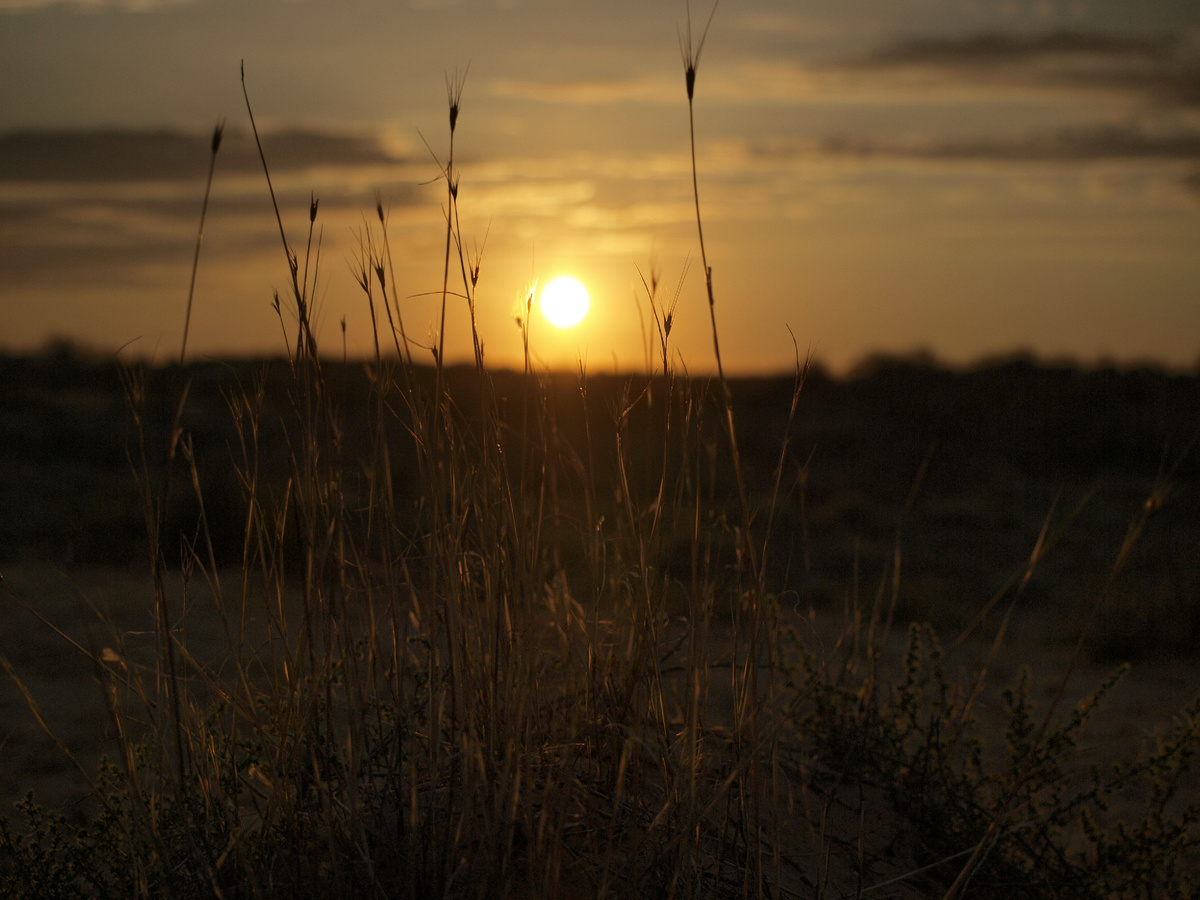 Фотография из личного архива.