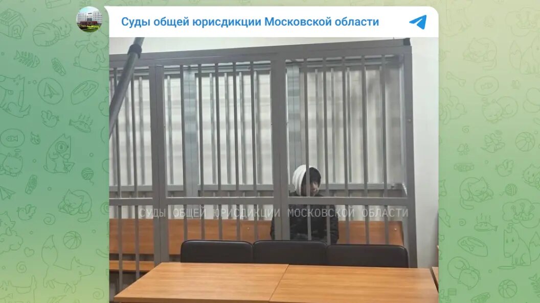    Telegram-канал "Суды общей юрисдикции Московской области"