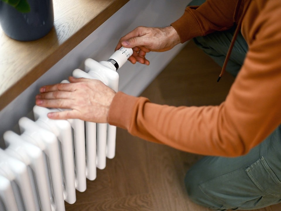    Фото: istockphoto.com/elenaleonova