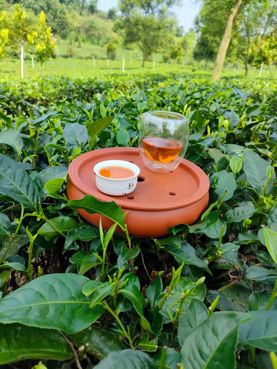 Чай с лимоном - это ярко и вкусно