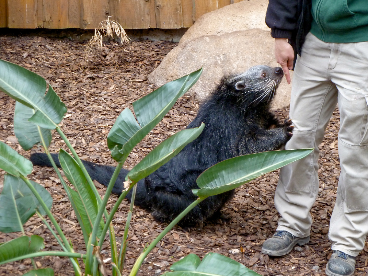 Gerald Schneider, CC BY-NC 2.0