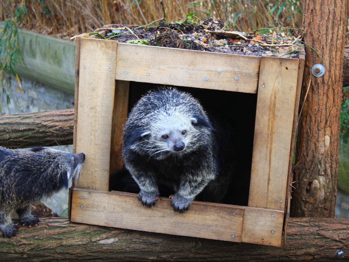 Фотография: Titlutin, CC BY-SA 4.0