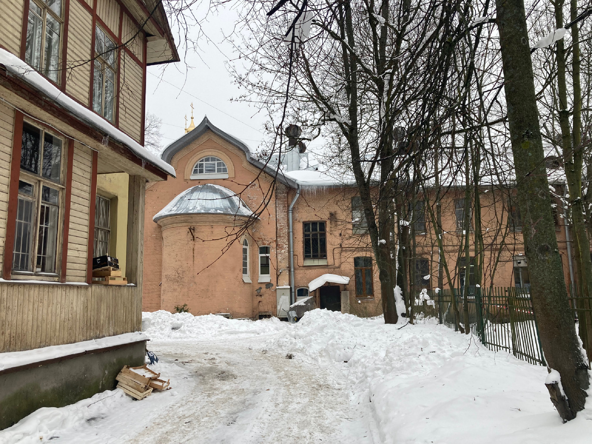 Церковь возле которой живут котики 