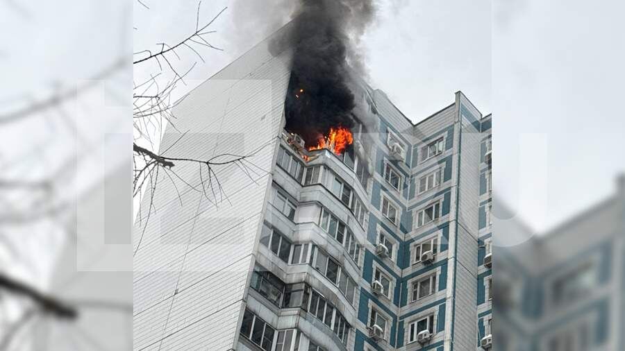    Фото: ИЗВЕСТИЯ