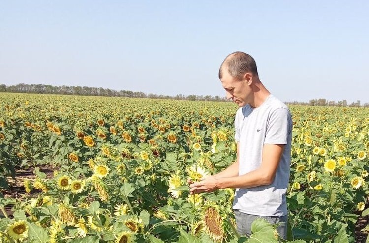    Фото: Служба по связям с общественностью филиала «Донецкий» Российского сельскохозяйственного центра