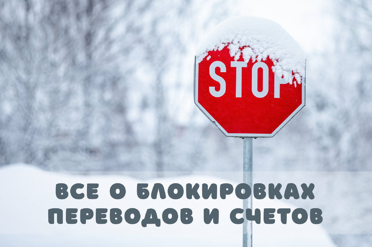 Фото: Shutterstock / stoatphoto