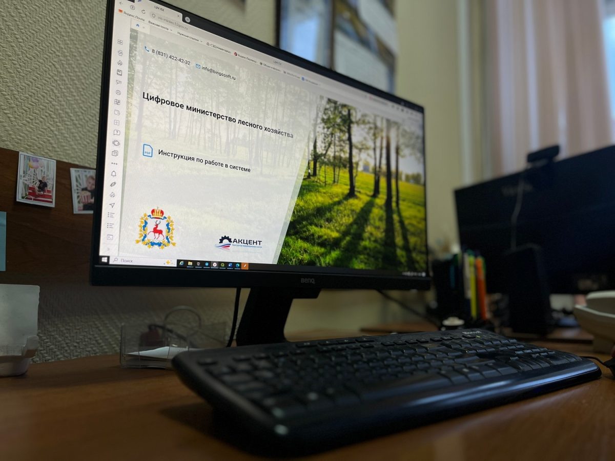    В 2025 году через систему «Цифровой лес» оказали более 14 000 услуг