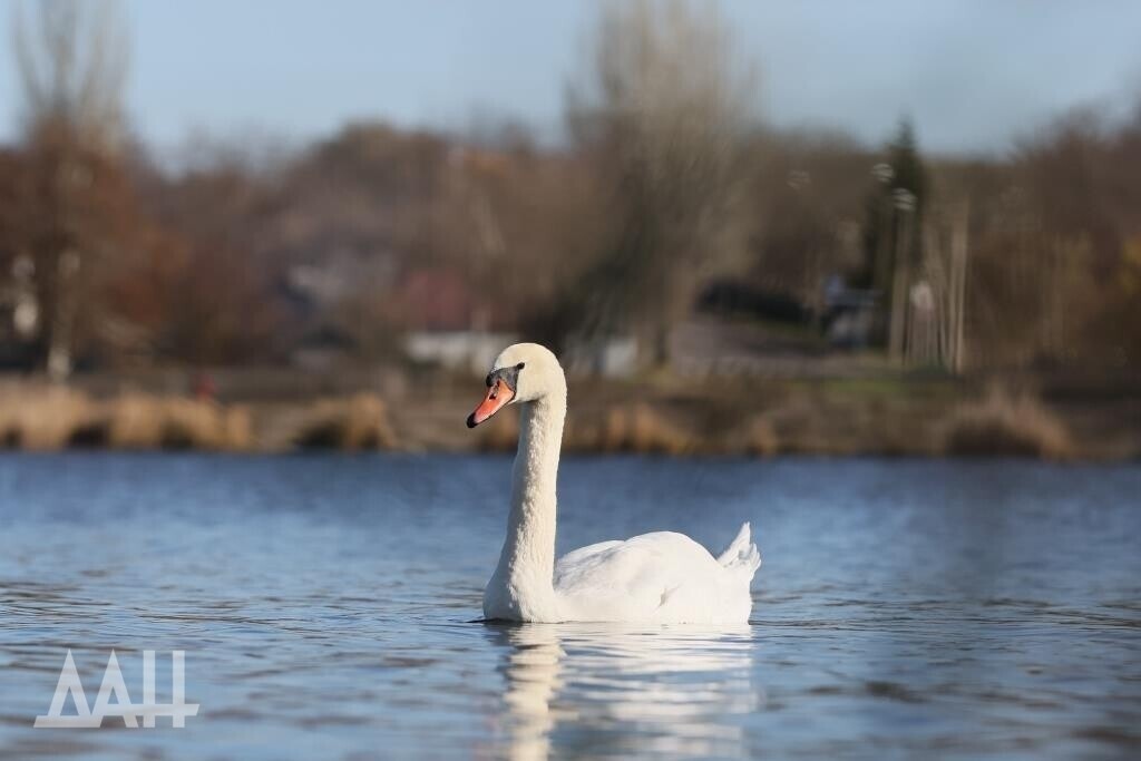    Фото: Донецкое агентство новостей