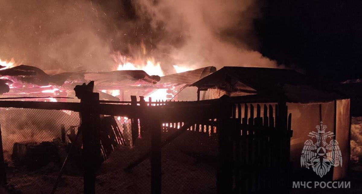    МЧС Марий Эл