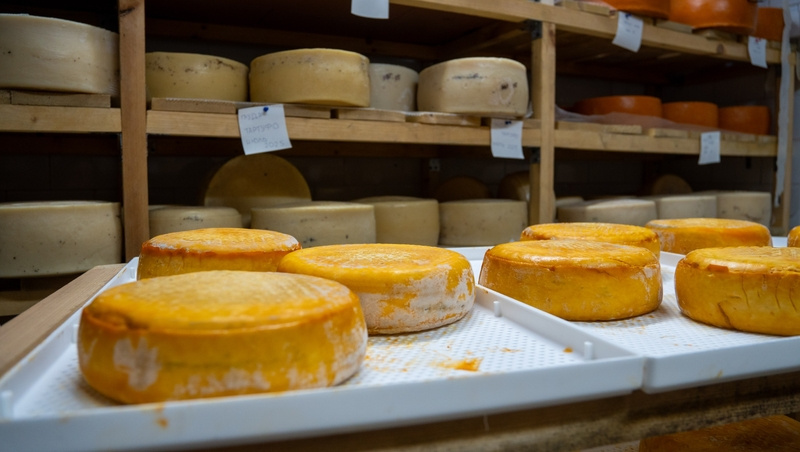    На Ставрополье помогают предпринимателям по программе «Поддержка малого и среднего предпринимательства и индивидуальной предпринимательской инициативы» Фото: Александр Скрыпник / / ИА «Победа26»