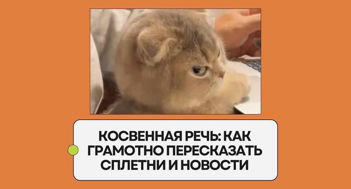 Изображение: Family English