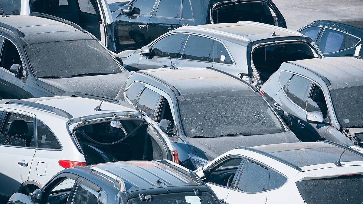    Фото: Shutterstock