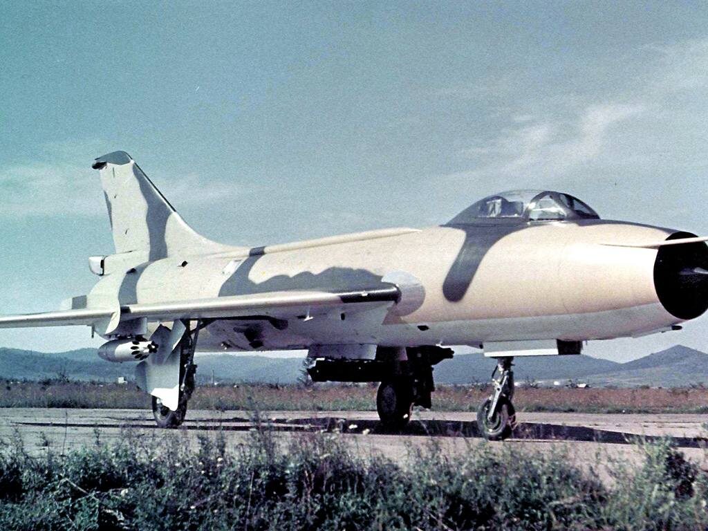     Фото: личный архив Елены Зюниной