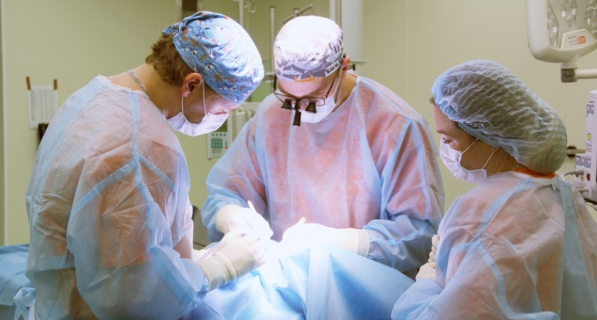    Фото Российской детской клинической больницы