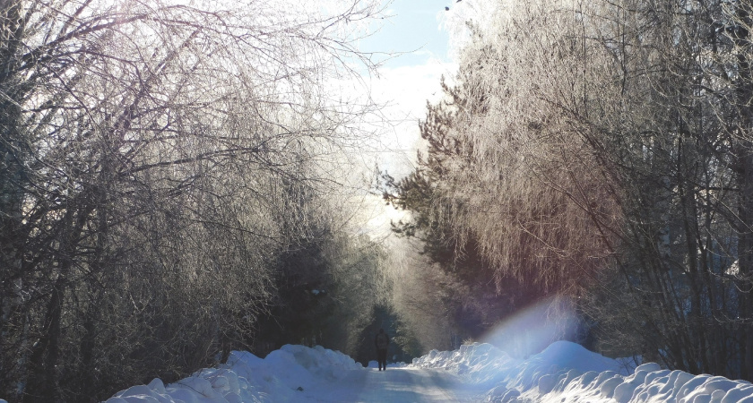    автор Вячеслав Вольгин