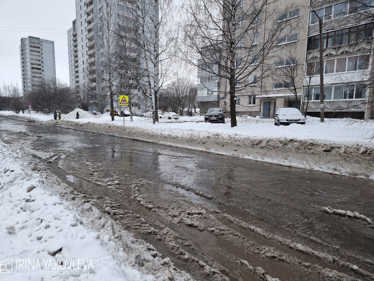    Ирина Яковлева