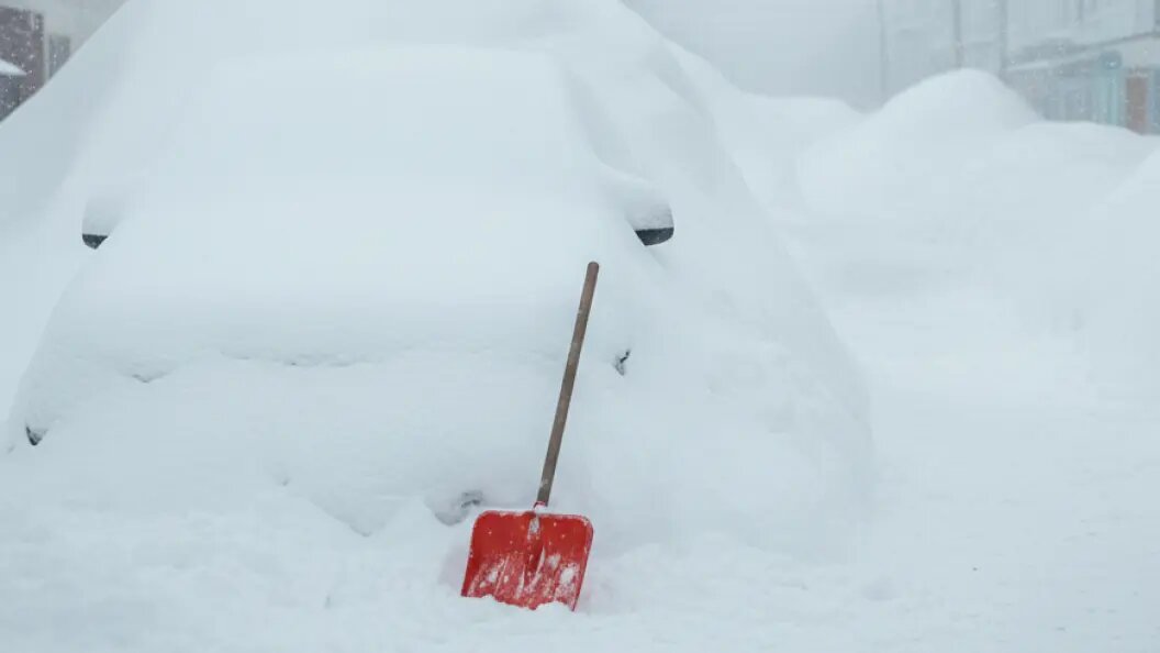   Коллаж ИИ/запрос Царьграда