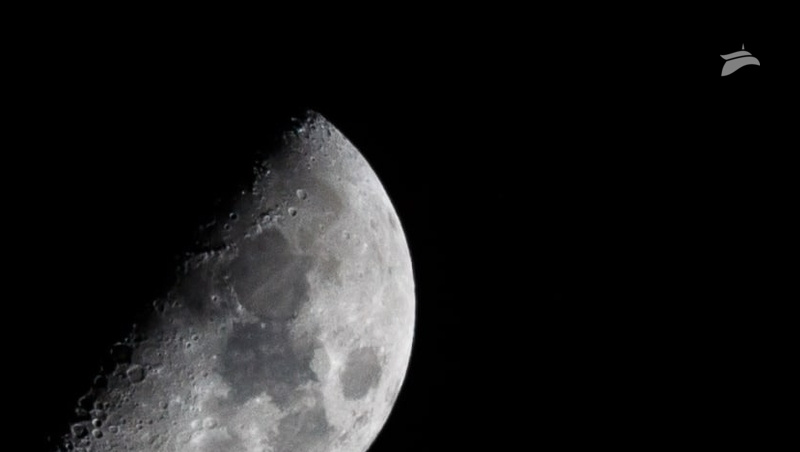      Фото: Дмитрий Ахмадуллин / / ИА «Победа26»