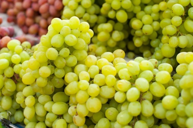   Фото из архива Калининград.Ru