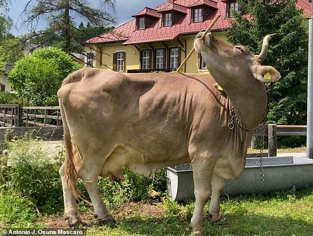 Фото из интернета.