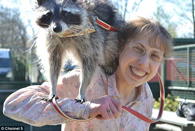 Самые умные животные в мире❗