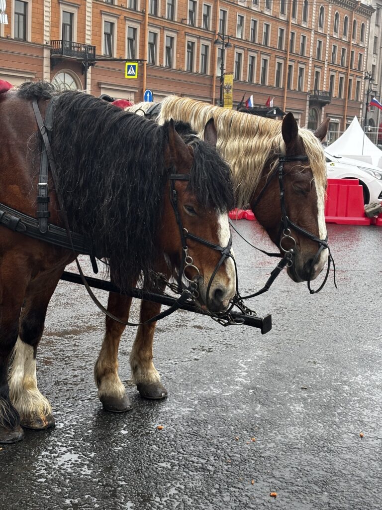 Фото: Марина Некрасова / АСИ