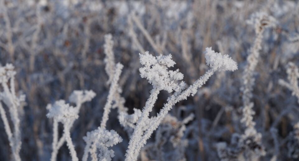    Мороз в Черноголовке / Медиасток.рф