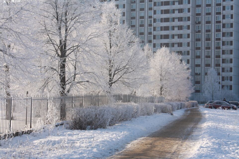    Мороз в Черноголовке / Медиасток.рф
