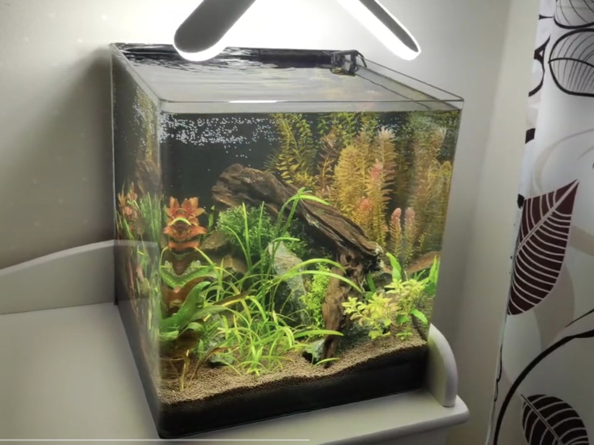 Аквариум для дочки 