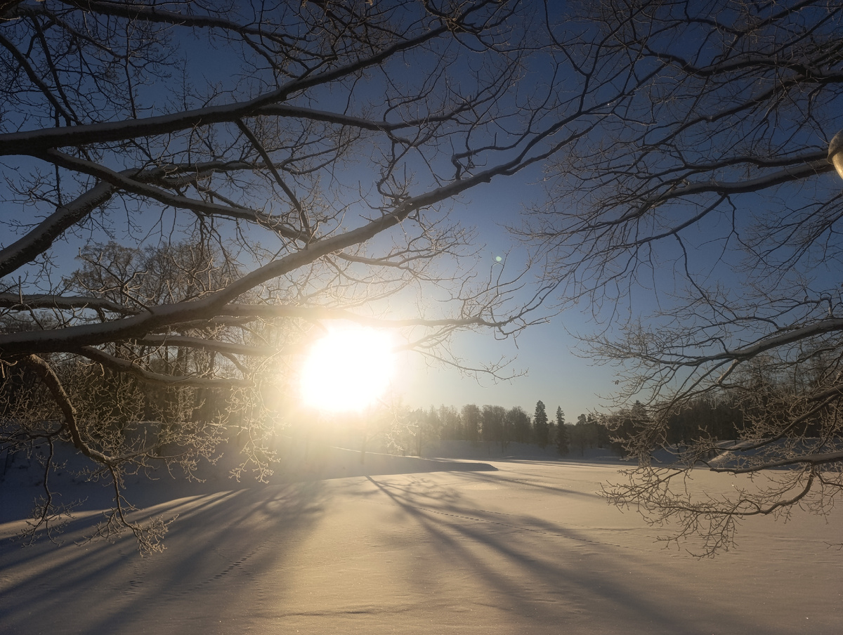 Ораниенбаум 