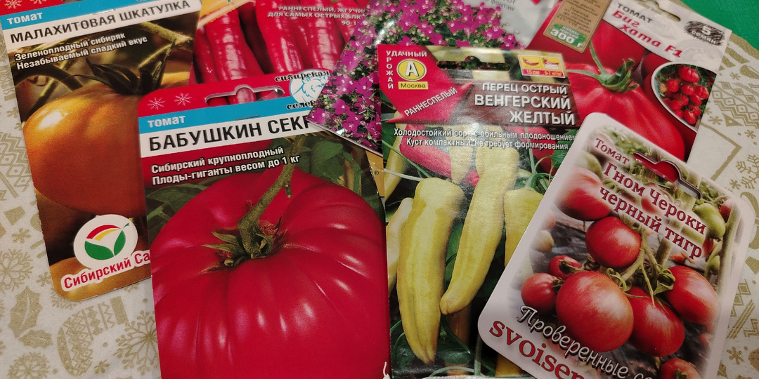 Что важно знать о сроках хранения семян