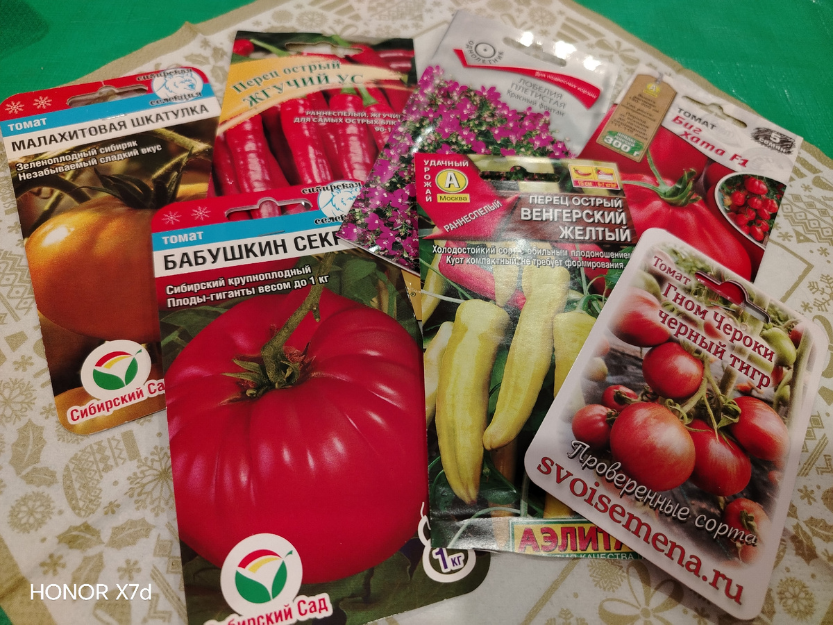 Фото автора. 