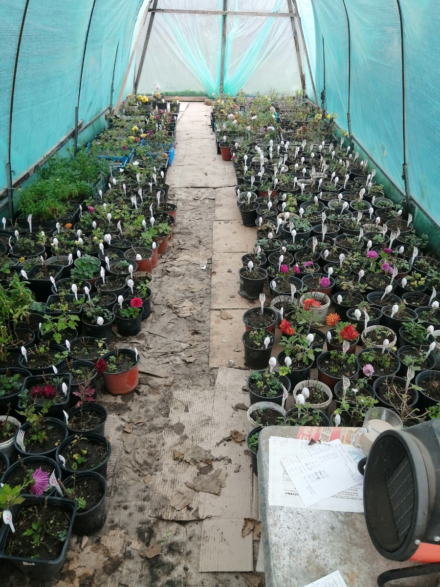 Перед зимовкой