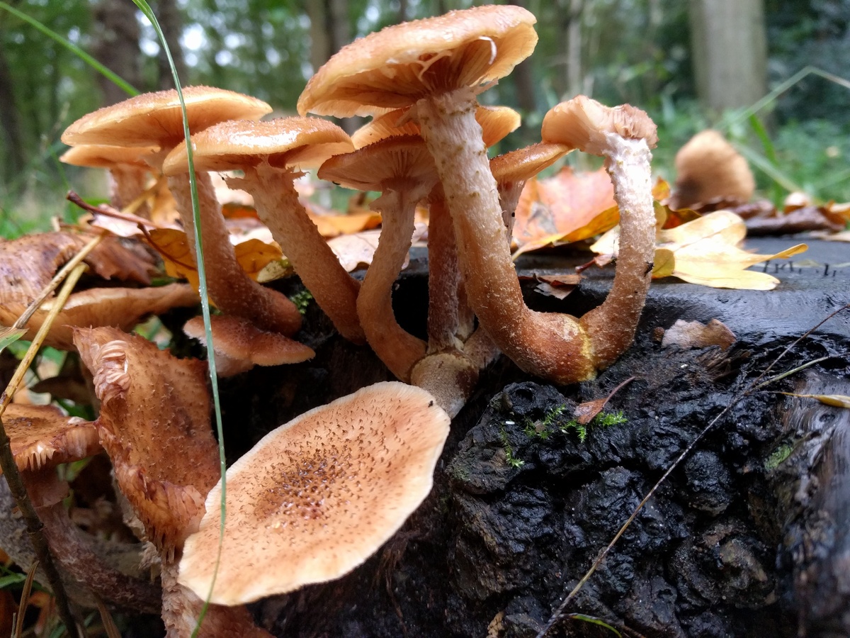 ...а вот так!