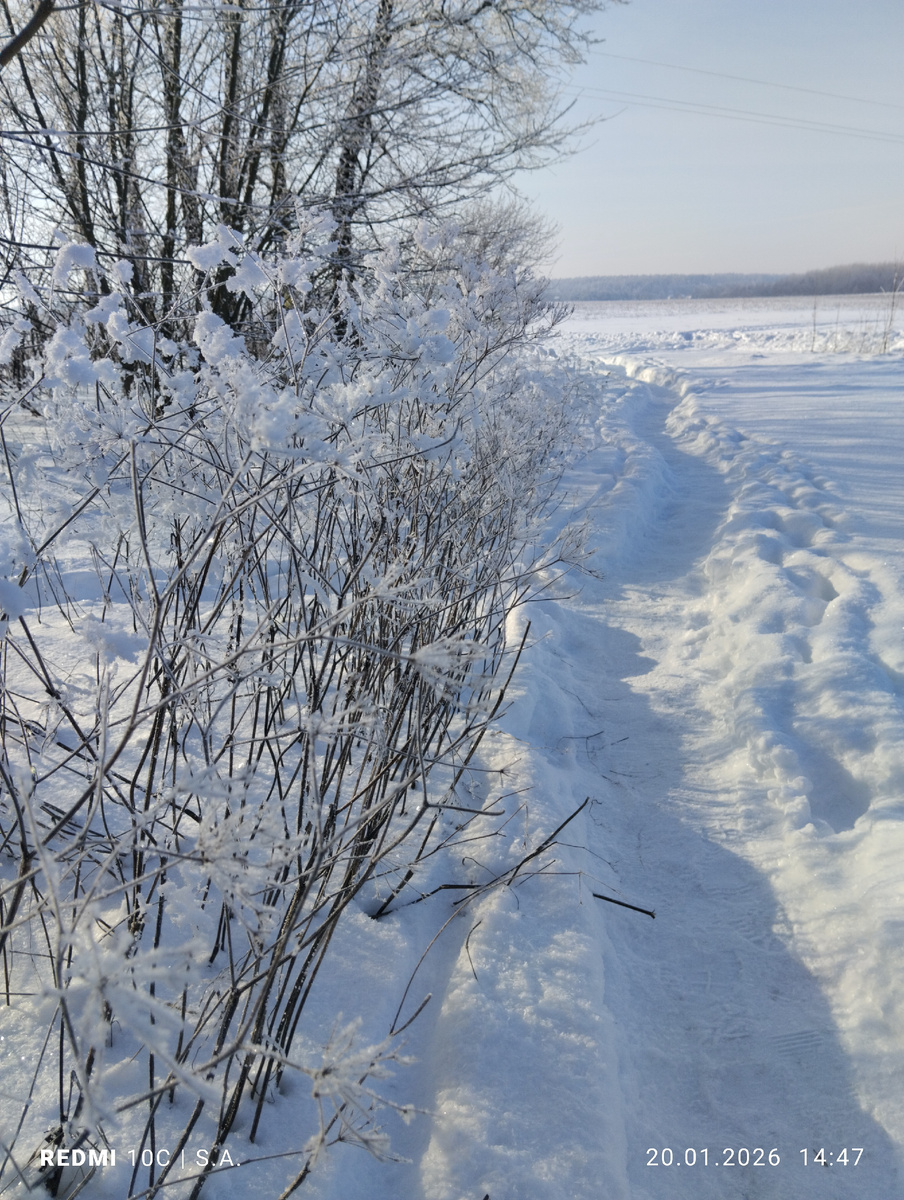 Фото:@Сафия Лисовская 