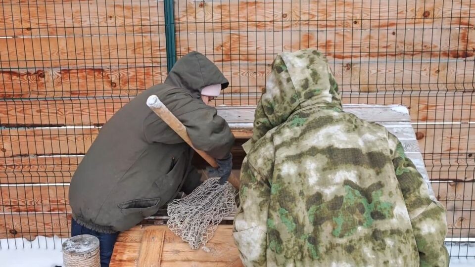    Транспортировка манула Пепе. Источник: max.ru/zoo22ru