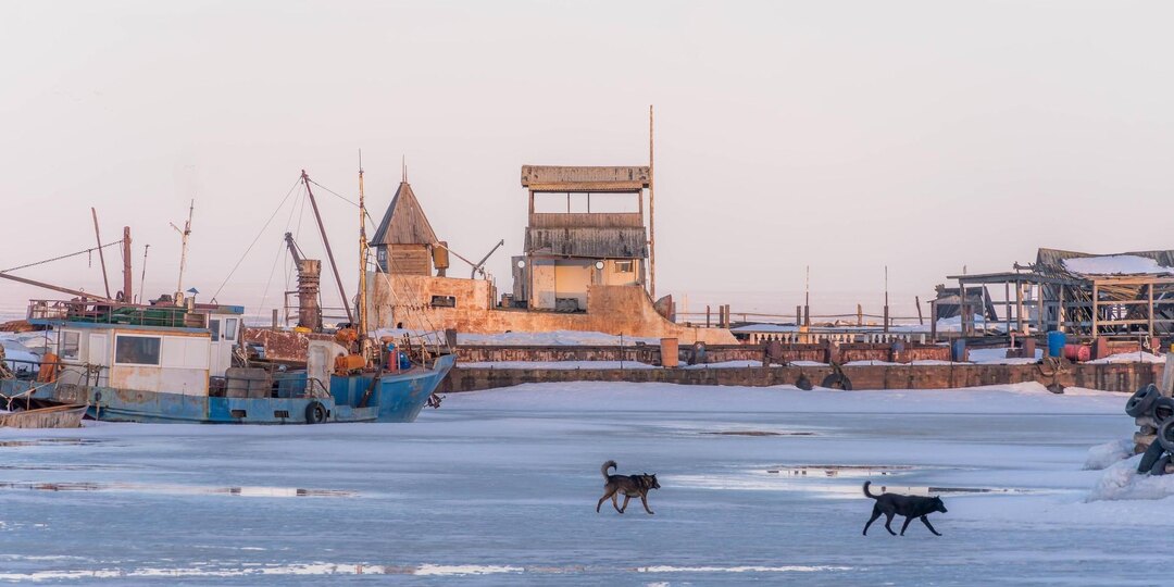 Карелия и Забайкалье признаны самыми криминальными регионами РФ