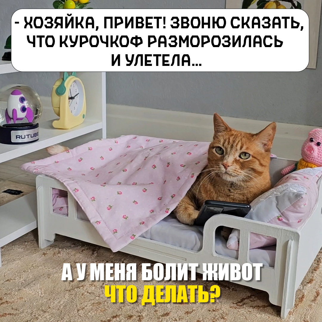 В последнее время стал жаловаться (молча, но выразительно) то животик побаливает🤕, то еда не радует 🍽️.