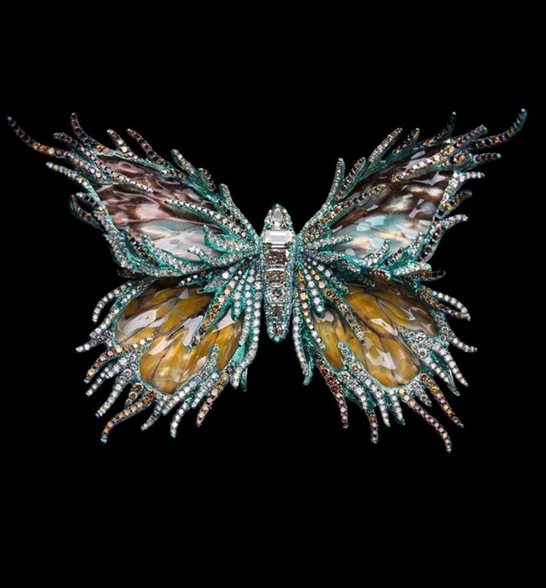 ��������� �� ������ ���.