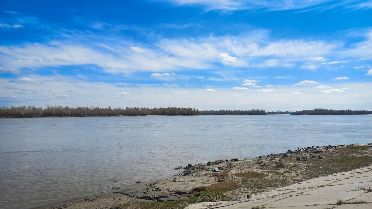    Дон впадает в маловодье: 2025 год стал одним из самых засушливых в истории наблюдений   1MI