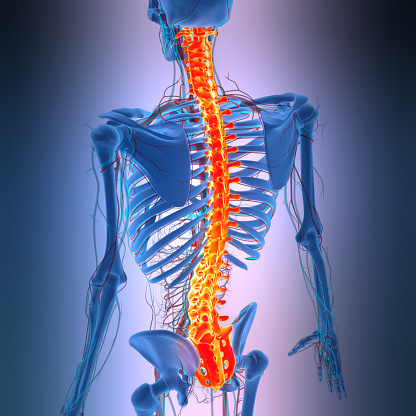 Про прямые спины и рисунки на уроке