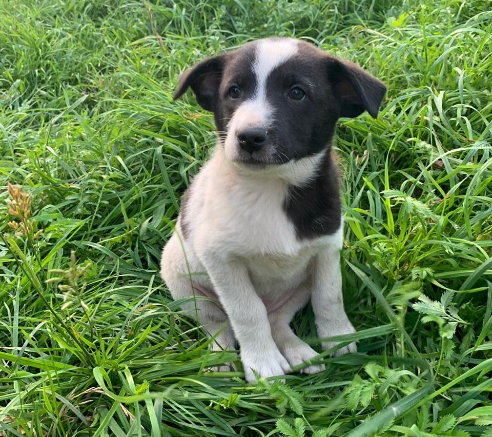 Вот таким меня нашла Наташка