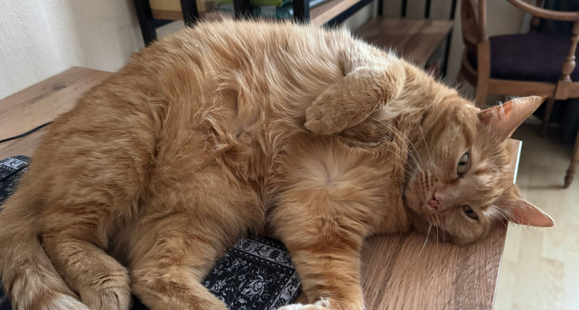    Архив редакции