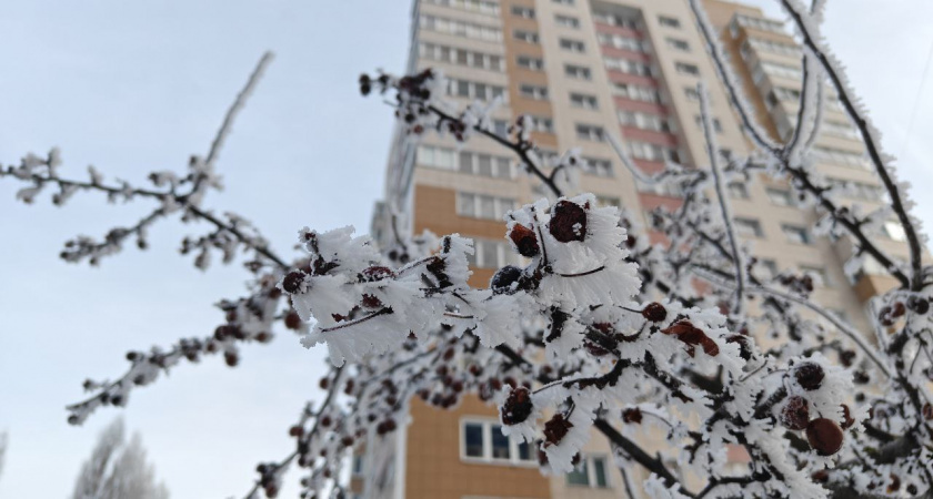    Первый городской канал Калининград