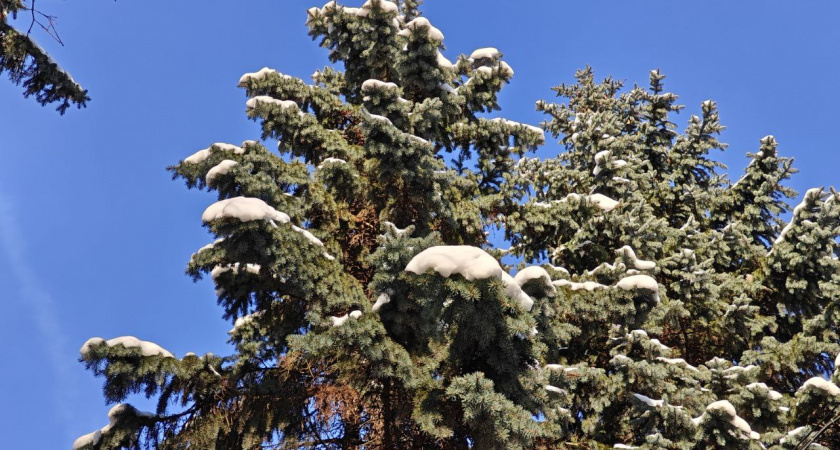    Первый городской канал Калининград