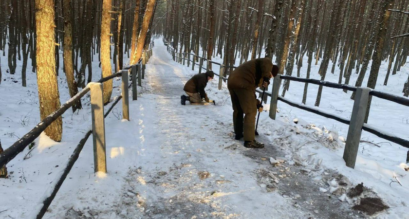    Национальный парк Куршская коса